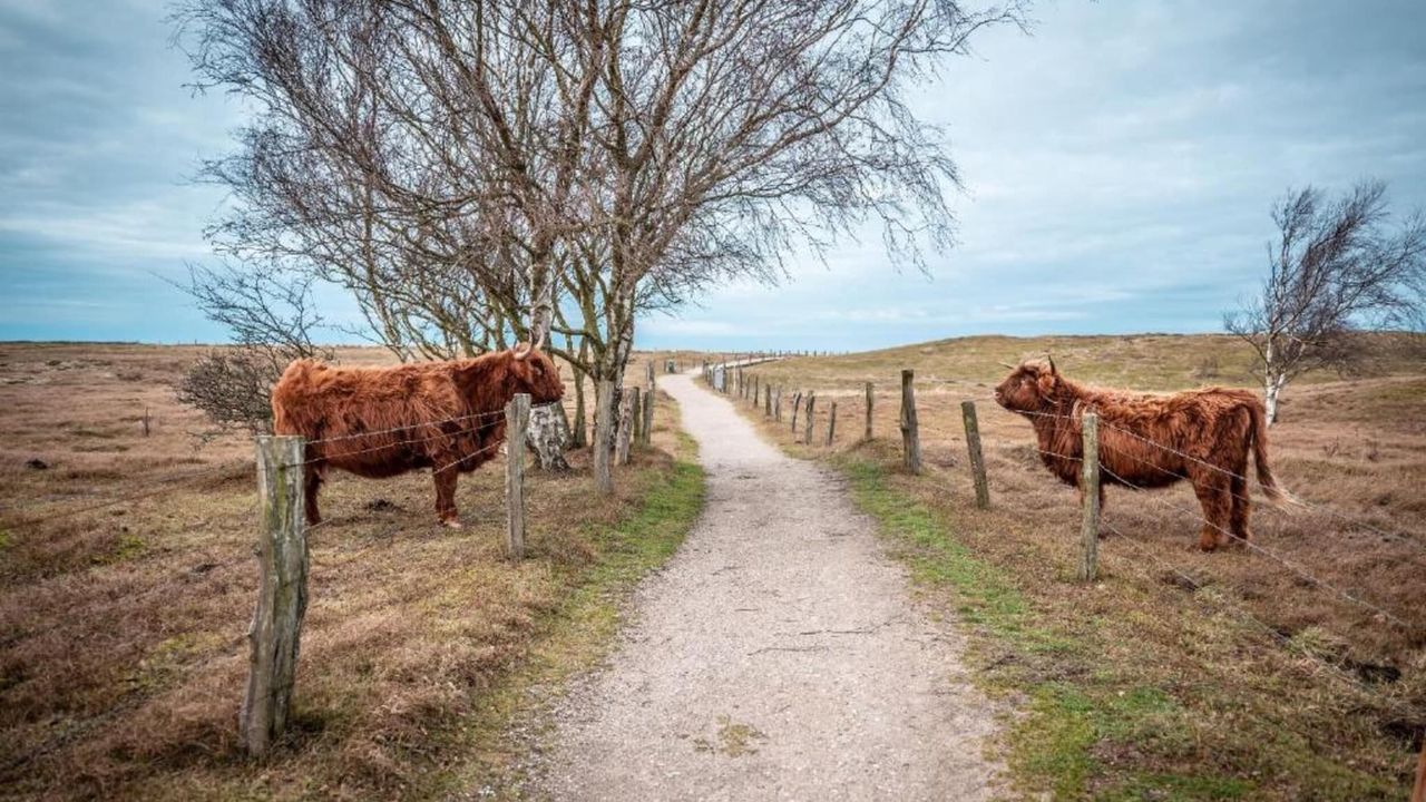 AreaSummer20KM AreaSummer20KM